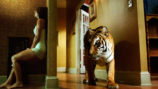 Dans L Oeil Du Tigre Film Dans l’Oeil du Tigre - Lavisqteam.fr