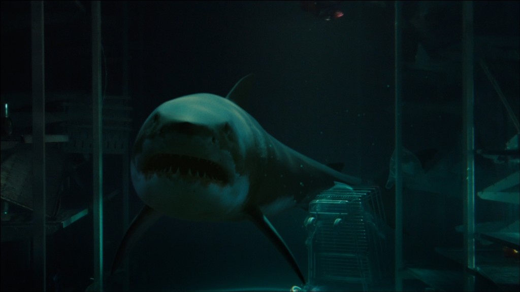 bait-movie-great-white-shark-underwater