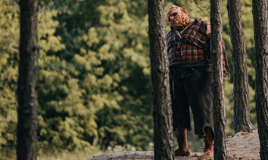 Nobody Sleeps in the Woods Tonight