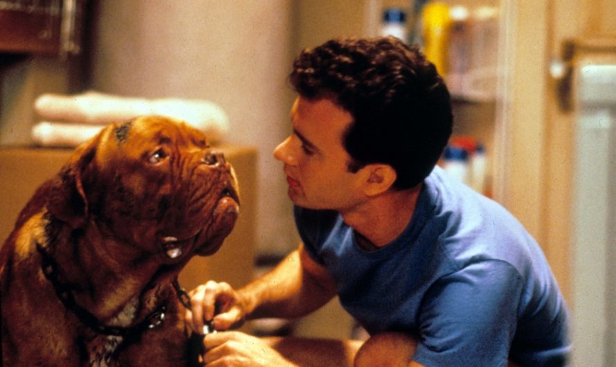 Turner & Hooch