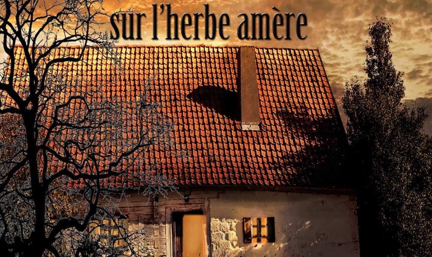 La Maison sur l’Herbe Amère – Beaudour Allala