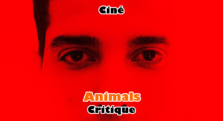 Animals – Film Choc
