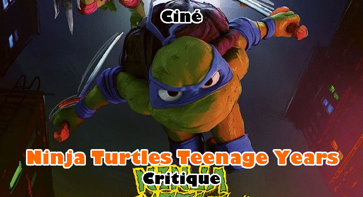 Ninja Turtles – Teenage Years