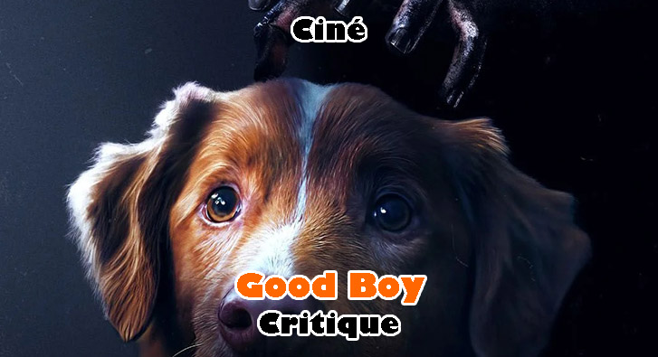 Good Boy – Un Mal de Chien